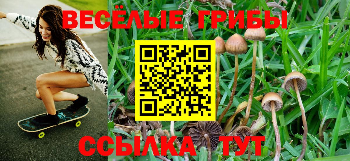 Верхняя Салда  Псилоцибиновые грибы Psilocybine cubensis  где продают   Вход с VPN 